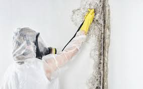 Best Commercial Mold Inspection  in Highwood, IL